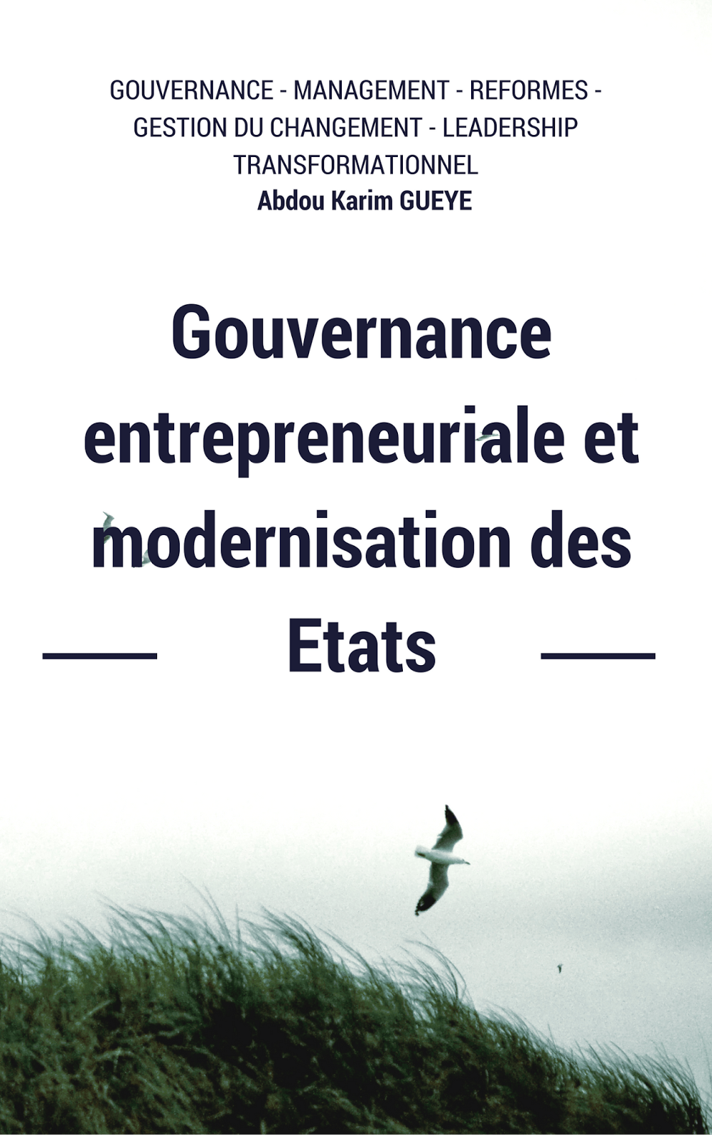 Des rôles d’un gouvernement